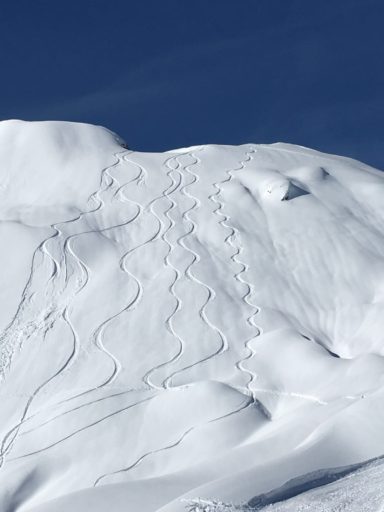 img_9541